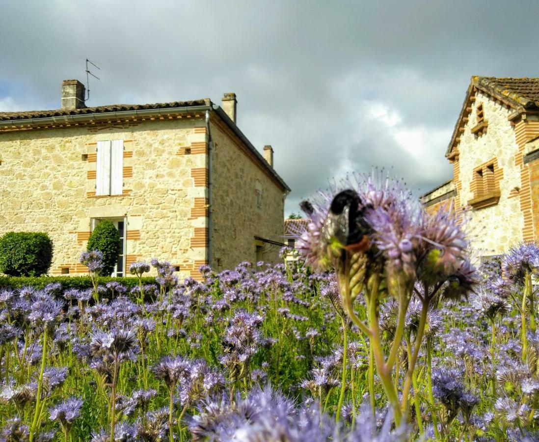 La Dilettante Homestay *